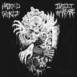 Insect Warfare : Insect Warfare - Hatred Surge